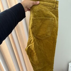 Olive velvet pants